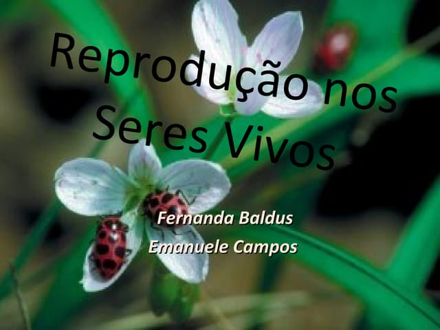 Reprodução seres vivos   2011