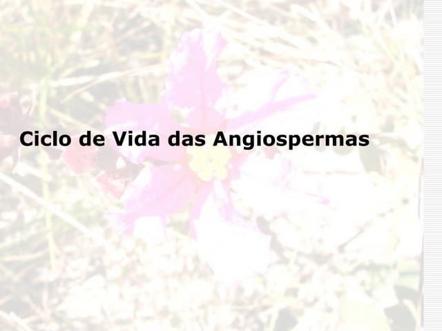 Reprodução sexuada nas fanerógamas