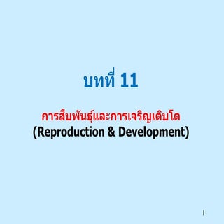 ระบบสืบพันธุ์ของสิ่งมีชีวิต - Repro...