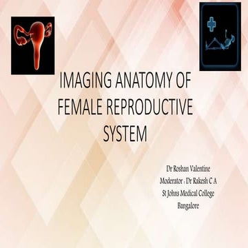 Imaging of female reproductive system  RV