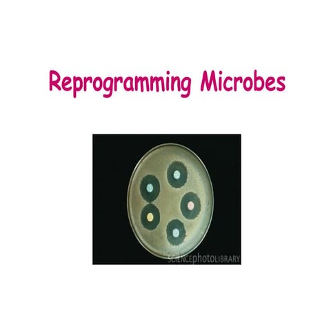 Reprogramming Microbes