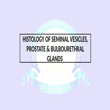 Repro Mod - Anatomy - Histology of prostate ,  Seminal Vesicles and bulbouret...