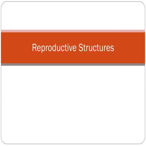 Animal Reproductive Tracts