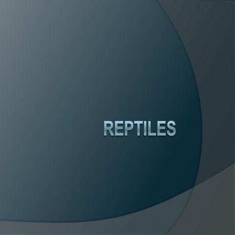 Reptile