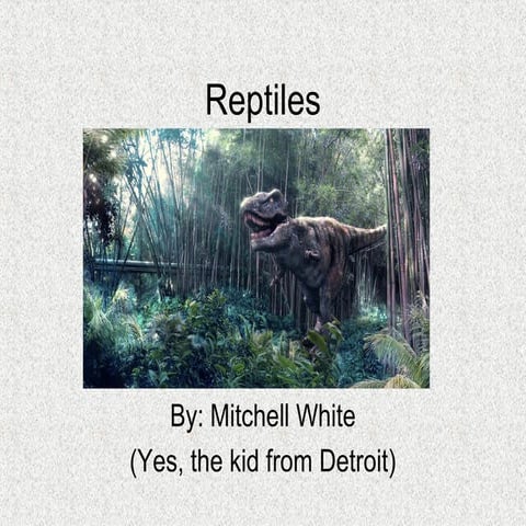 Reptiles