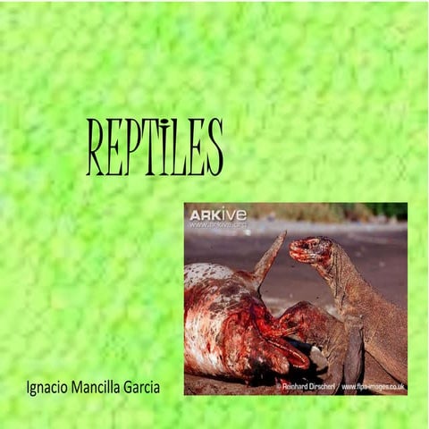 Reptiles