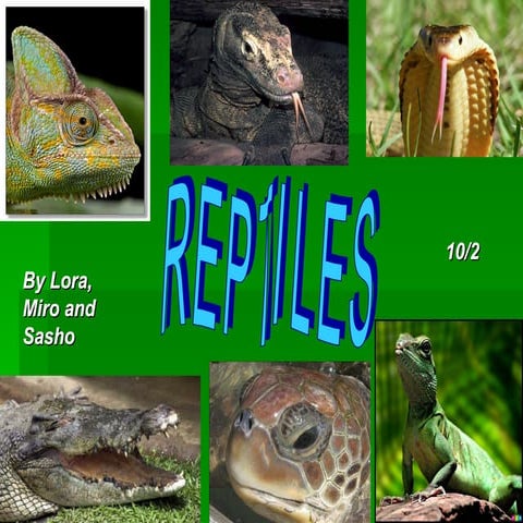 Reptiles 10-2 lora miro alexander