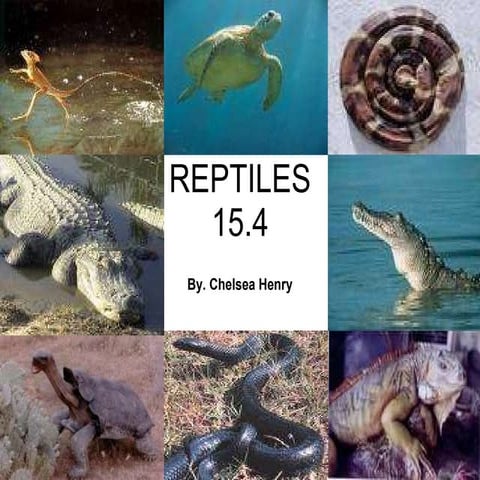 Reptiles Life Science 15 4