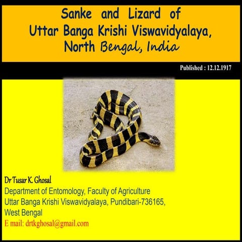 Snake and Lizard of UBKV (Total slides 30) | PPTX