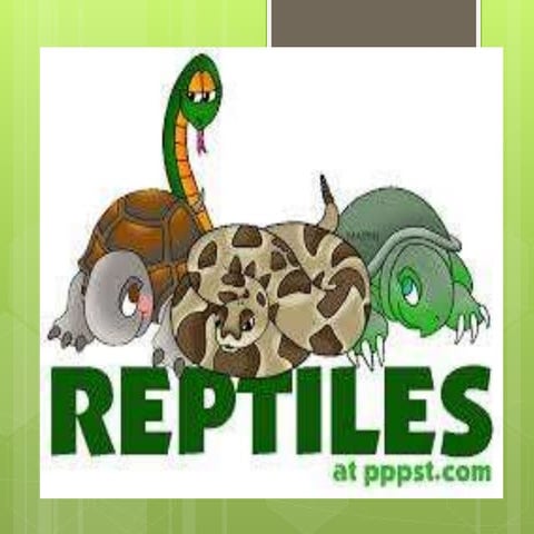 Reptiles