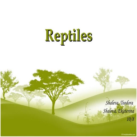 Reptiles shaleva shaleva 10 8