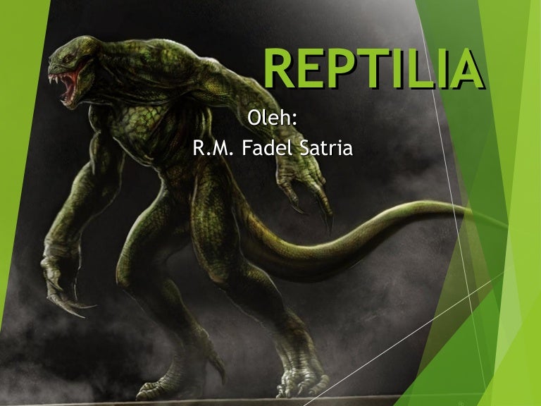 Reptilia Thumbnail Cb Reptilia Thumbnail Cb