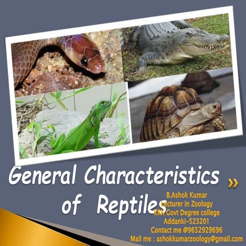 Reptilian characters