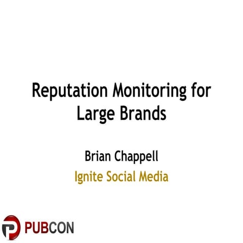 Reputation Monitoring for Large Brands