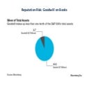 Reputation Risk: Goodwill on Books | PPTX