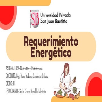 Requerimiento Energéticooooooooooooo.pdf