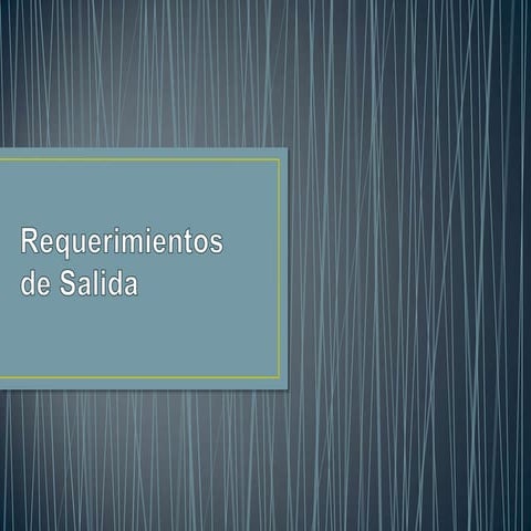 Requerimientos de Salida