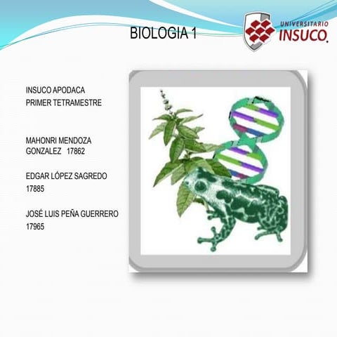 Requerimientos de los seres vivos
