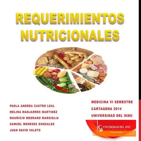 Requerimientos nutricionales 