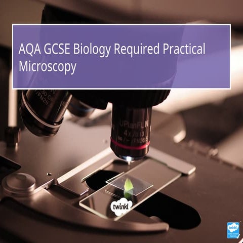Preparing a cheek cell slide | PPTX