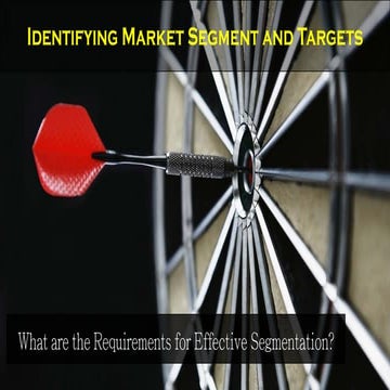 Requirements for effective segmentation