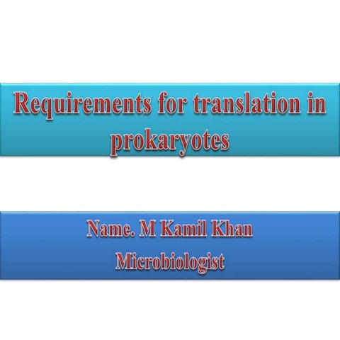Requirements for translation in prokaryotes