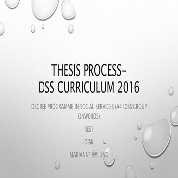 Thesis Process 