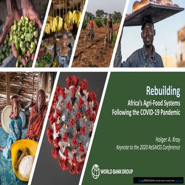 2020 ReSAKSS Conference - Symposium on Africa's Agri-Food Systems