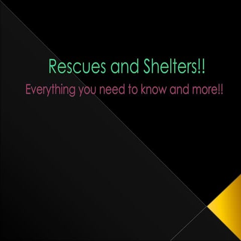 Rescues and shelters project!! | PPT