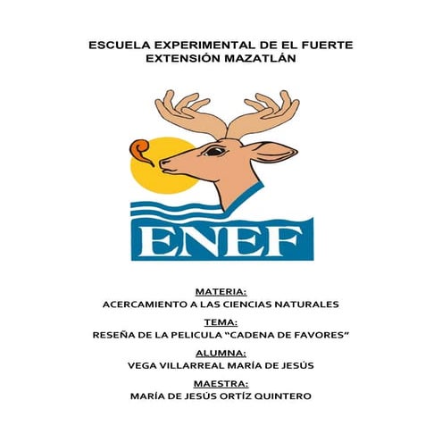 Reseña de la película "Cadena de favores"