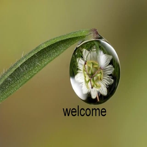 Research Proposal Seminar