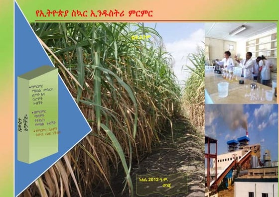 The Omo-Kuraz Sugar Development Project | PDF