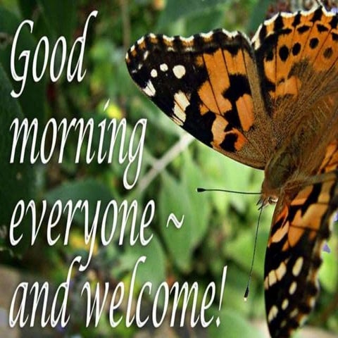 Research designs in social science by vinay