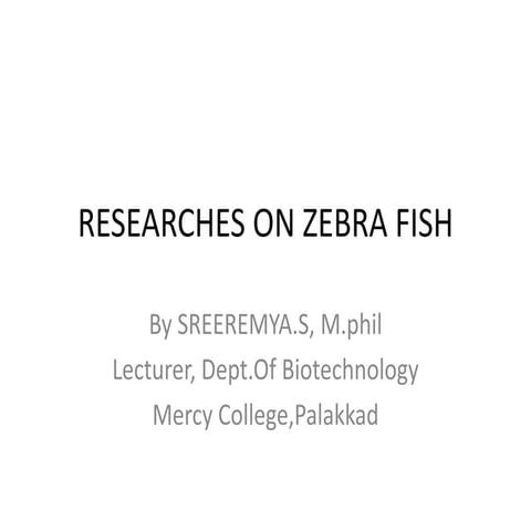 Researcheson.zebra.fish