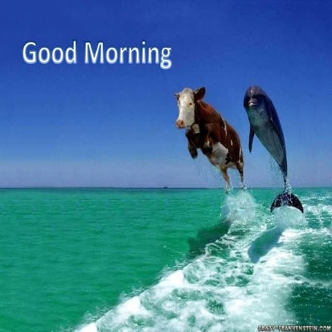 Research methodology