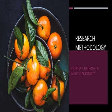 Research methodology Chapter 6 summary