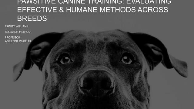 Evaluating Effective and Humane Dog Training Methods