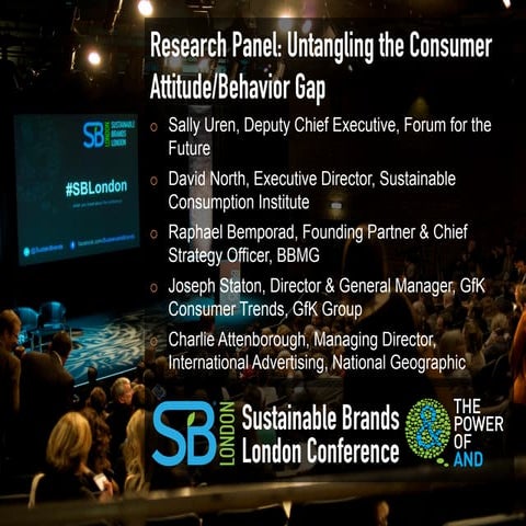 Research Panel: Untangling the Consumer Attitude/Behavior Gap