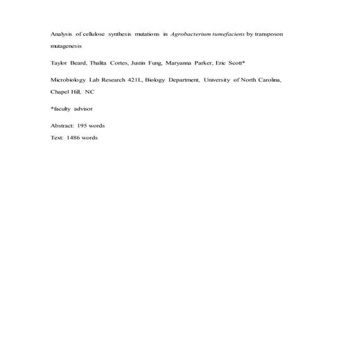 Analysis of cellulose synthesis mutations in Agrobacterium Tumefaciens by transposon mutagenesis