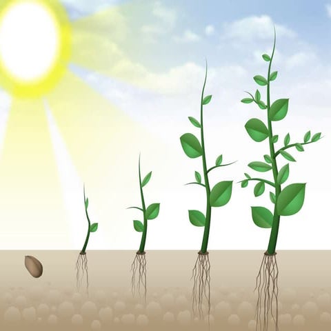 research paper steps 01.pptx