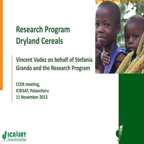 Research program on dryland cereals
