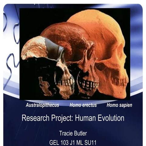 Researchproject humanevolutioniii-110722152715-phpapp01 | PPTX