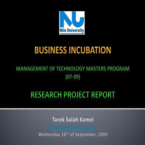 Business Incubation Systems (Research project report presentation)