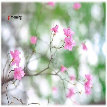 MM Bagali...... CV 2017...... Bio Data......Academic work.....PhD work in Man...