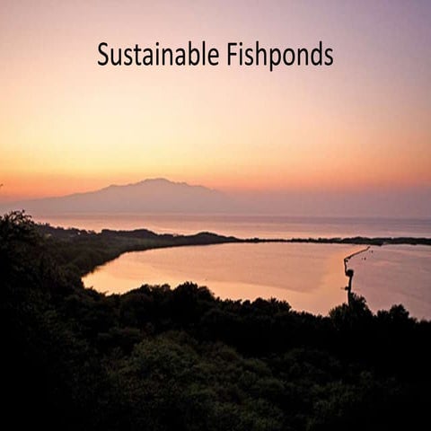 Research report fishponds