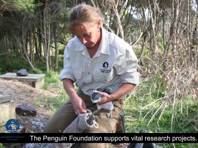 Research slideshow