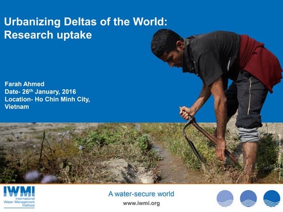 Urbanizing Deltas of the World: Research Uptake