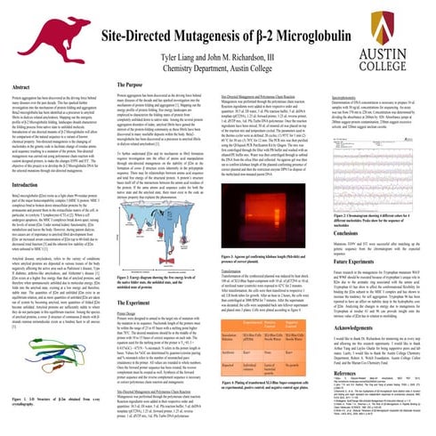 Site-Directed Mutagenesis of β-2 Microglobulin Research Symposium Poster