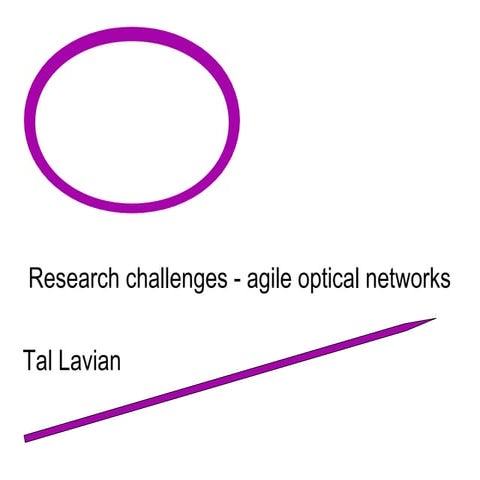 Research Challenges in agile optical networks