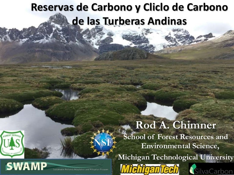 thumbnail of  Reservas de carbono y ciclo de carbono de las turberas andinas